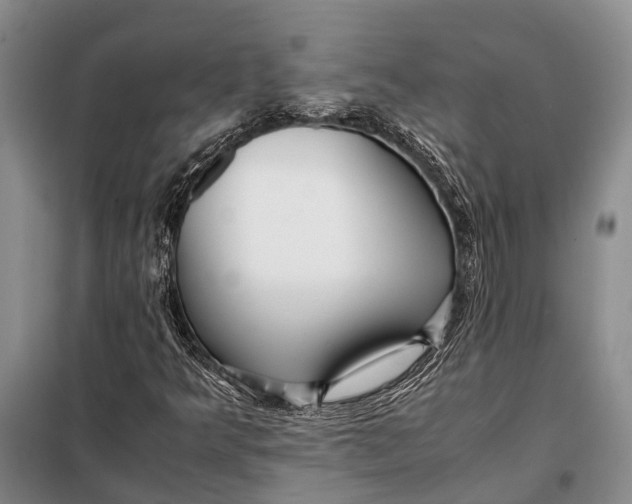 X0000098021349200804181152