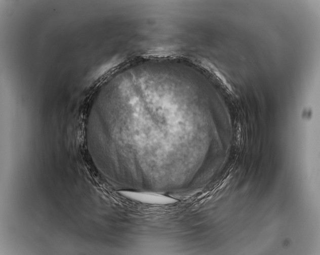 X0000098021350200804181152