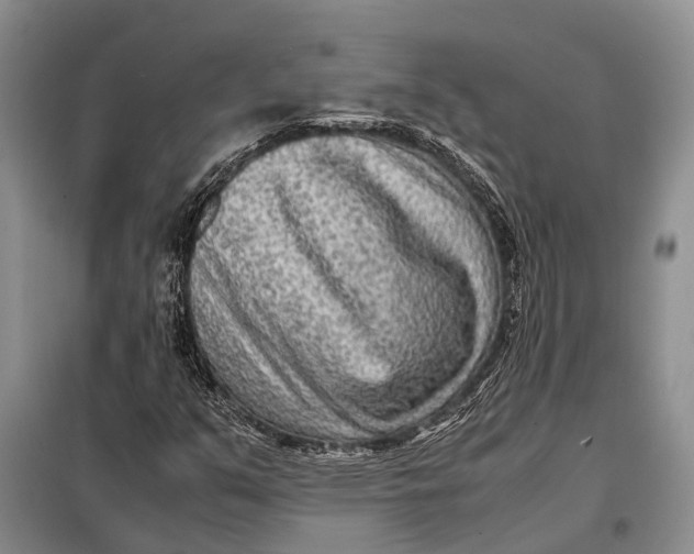 X0000098021351200804181152