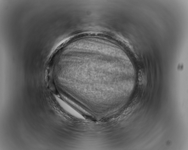 X0000098021352200804181152