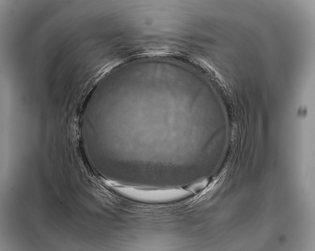 X0000098021353200804181152