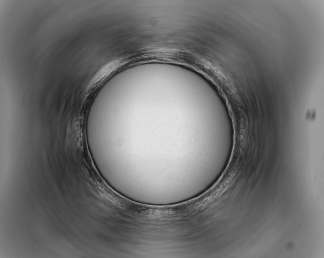 X0000098021354200804181152