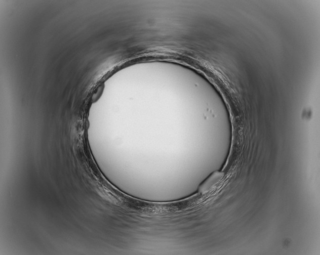 X0000098021355200804181152