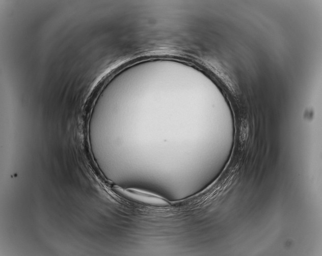 X0000098021356200804181151