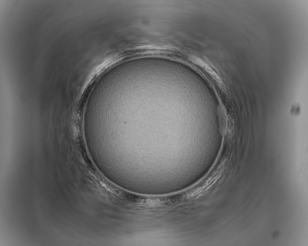 X0000098021357200804181151