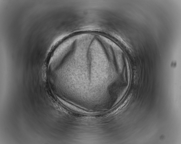 X0000098021358200804181151