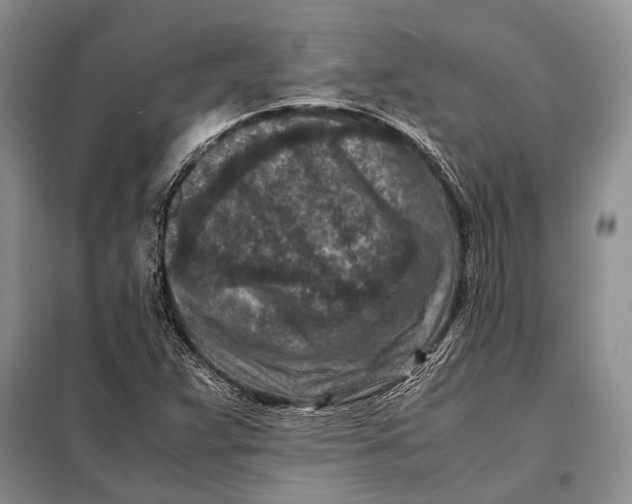 X0000098021359200804181151