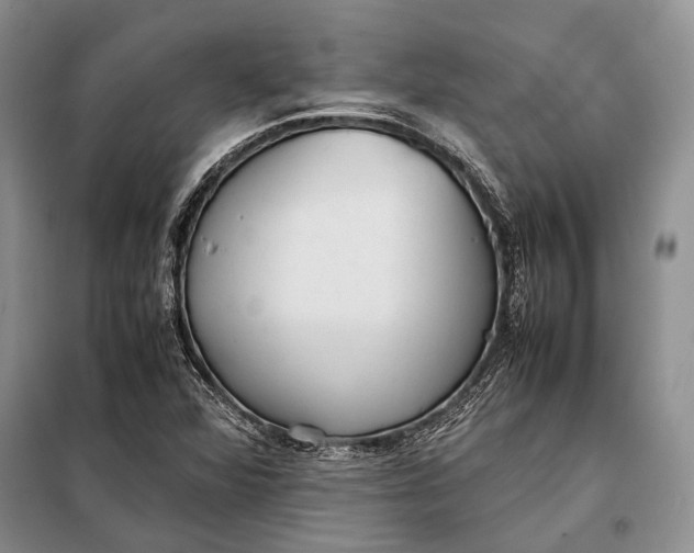 X0000098021360200804181151