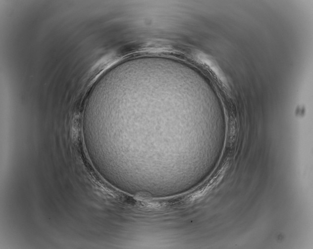 X0000098021361200804181151