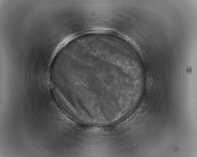 X0000098021362200804181151