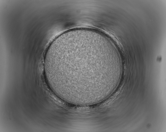 X0000098021363200804181151