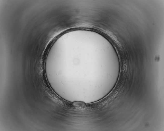 X0000098021364200804181151