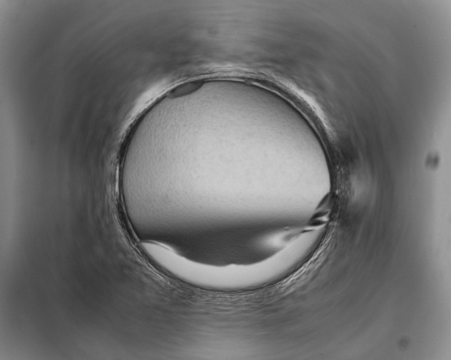 X0000098021365200804181151