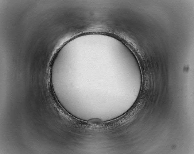 X0000098021366200804181151