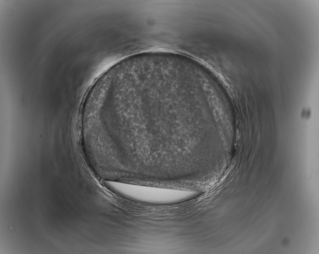 X0000098021367200804181151