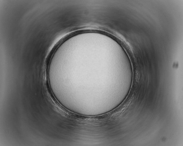 X0000098021368200804181151