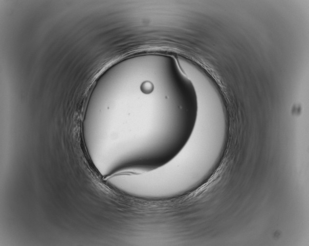 X0000098021369200804181151