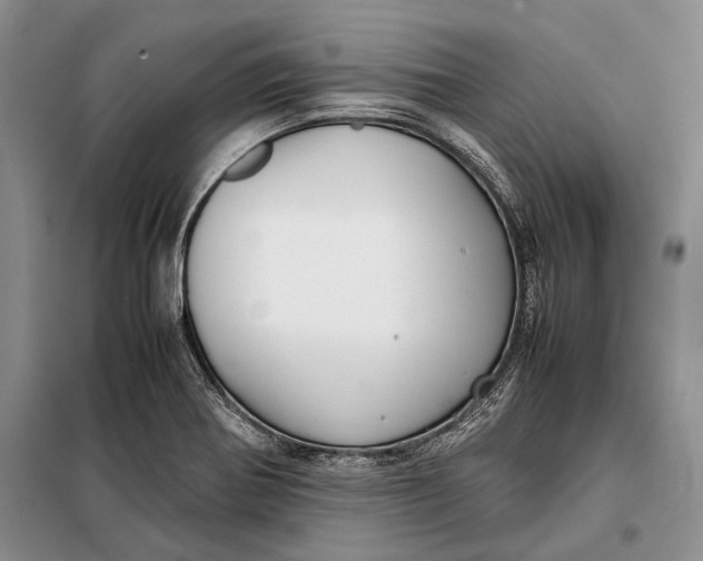 X0000098021370200804181151