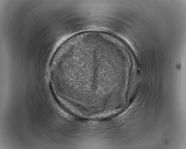 X0000098021371200804181151