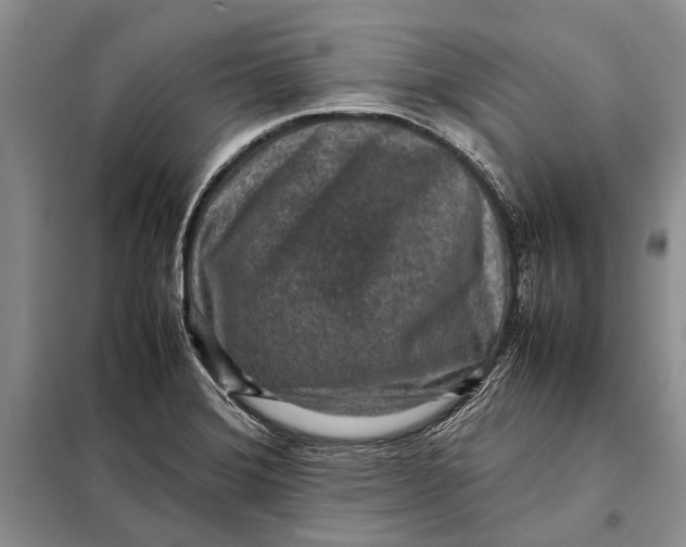 X0000098021372200804181151