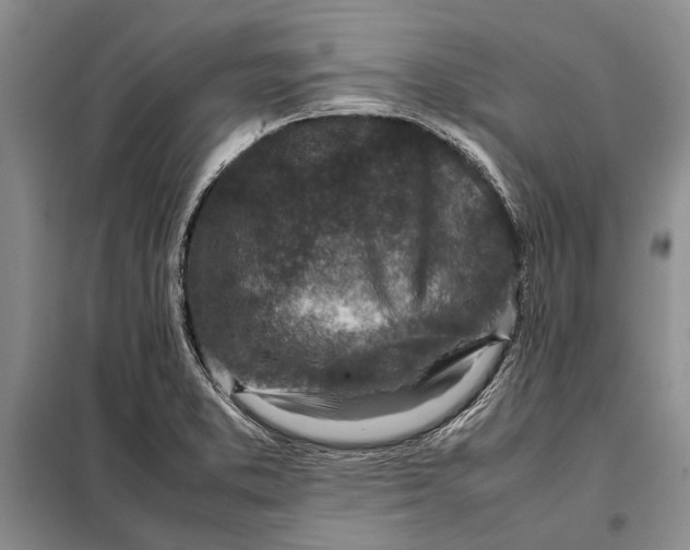 X0000098021373200804181151