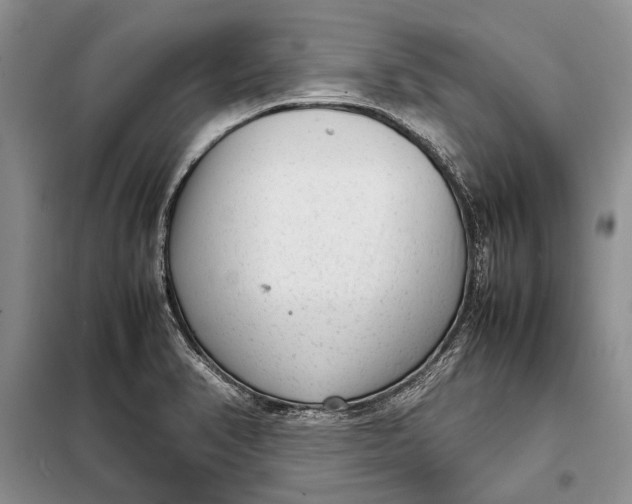 X0000098021374200804181151