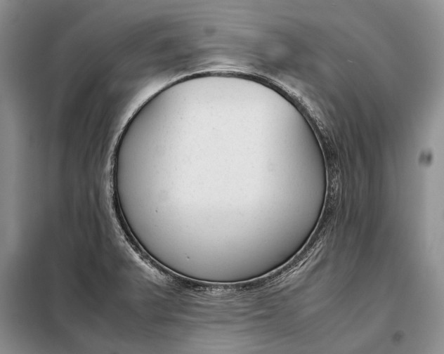 X0000098021375200804181151