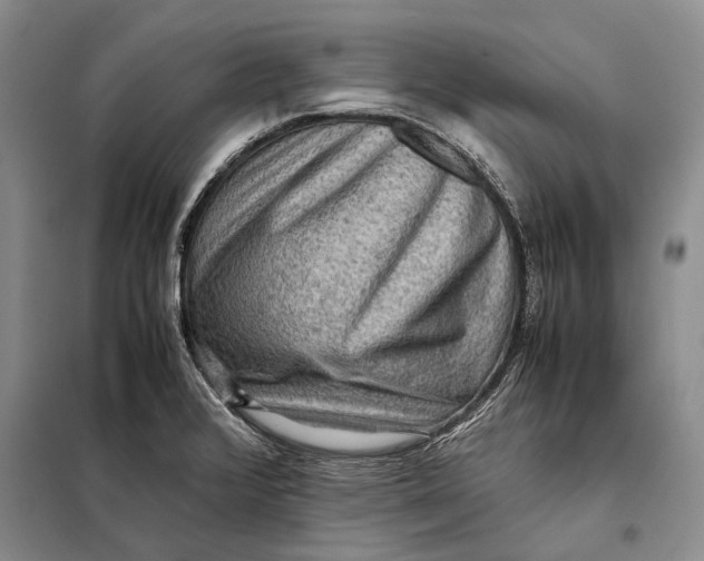 X0000098021376200804181151