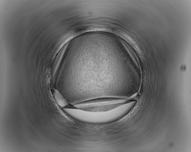 X0000098021377200804181151