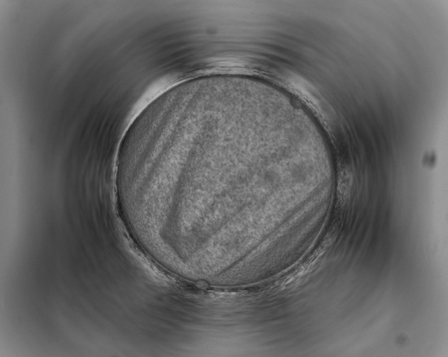 X0000098021378200804181151