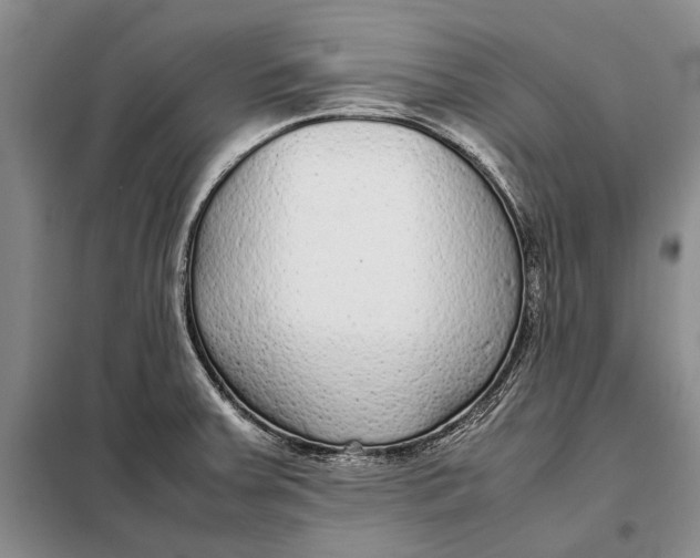 X0000098021379200804181151