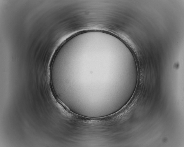 X0000098021380200804181151