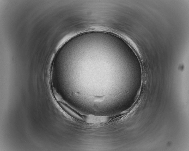 X0000098021381200804181151