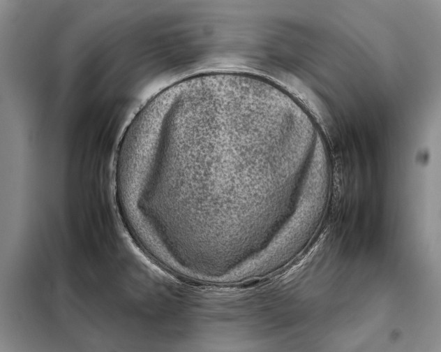 X0000098021382200804181151