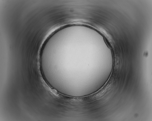 X0000098021384200804181151