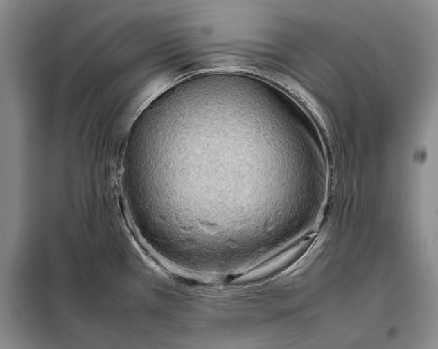 X0000098021385200804181151