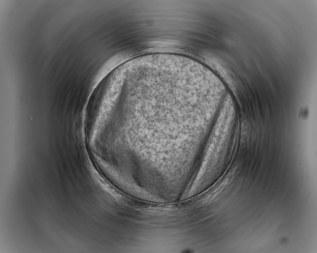 X0000098021386200804181151