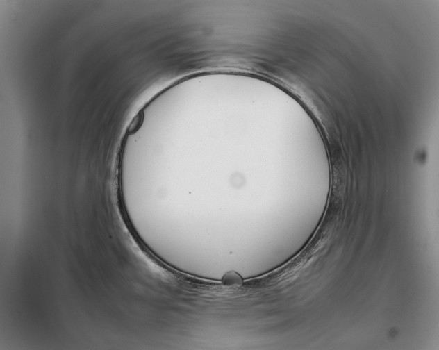 X0000098021387200804181151