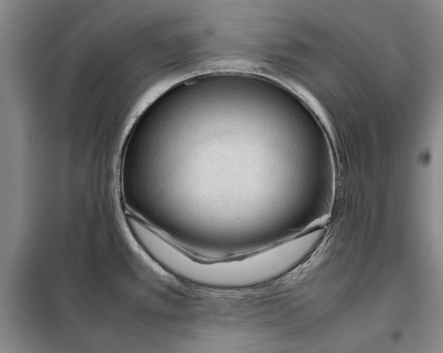 X0000098021389200804181151