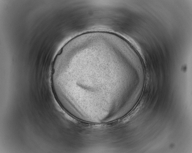 X0000098021390200804181151