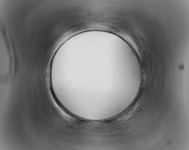 X0000098021391200804181151