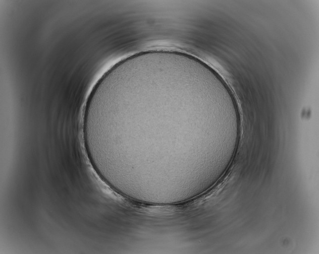 X0000098021392200804181151