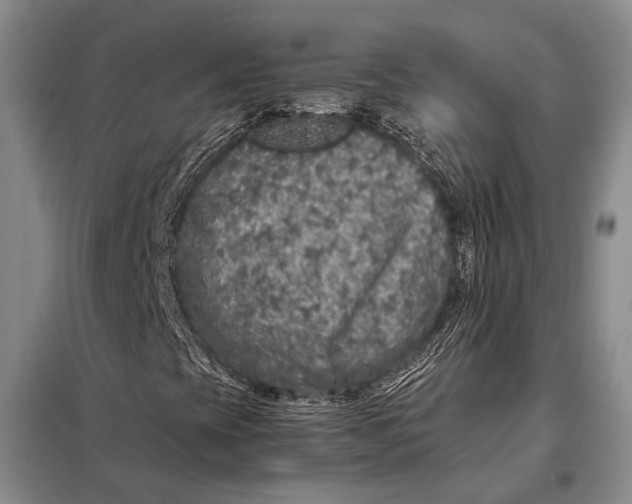 X0000098021393200804181150