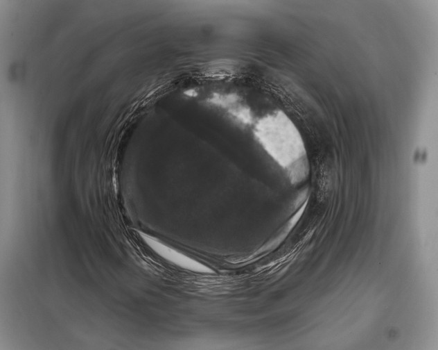 X0000098021394200804181150