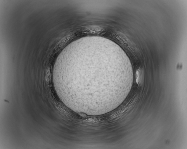 X0000098021395200804181150