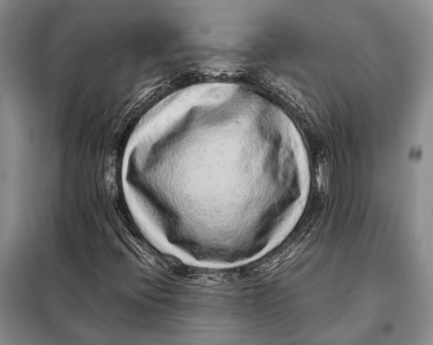 X0000098021396200804181150