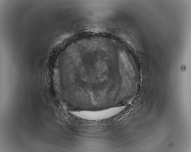 X0000098021398200804181150