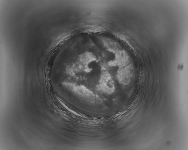 X0000098021399200804181150