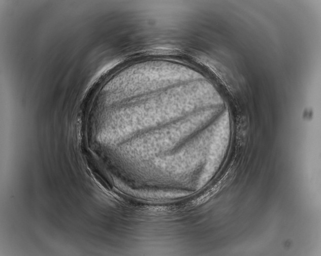 X0000098021402200804181150