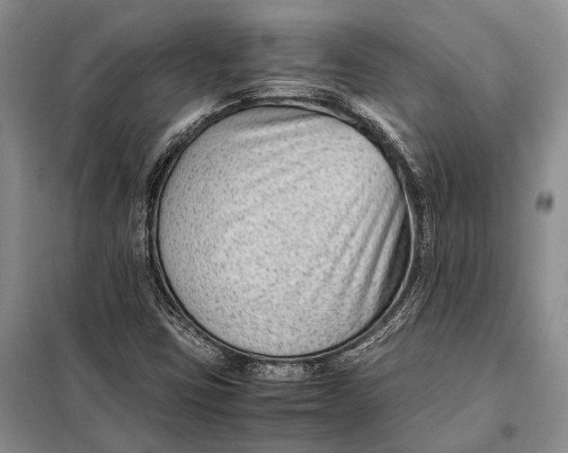 X0000098021403200804181150